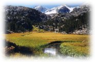 Rock Creek Canyon