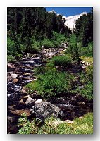 Rock Creek ...again